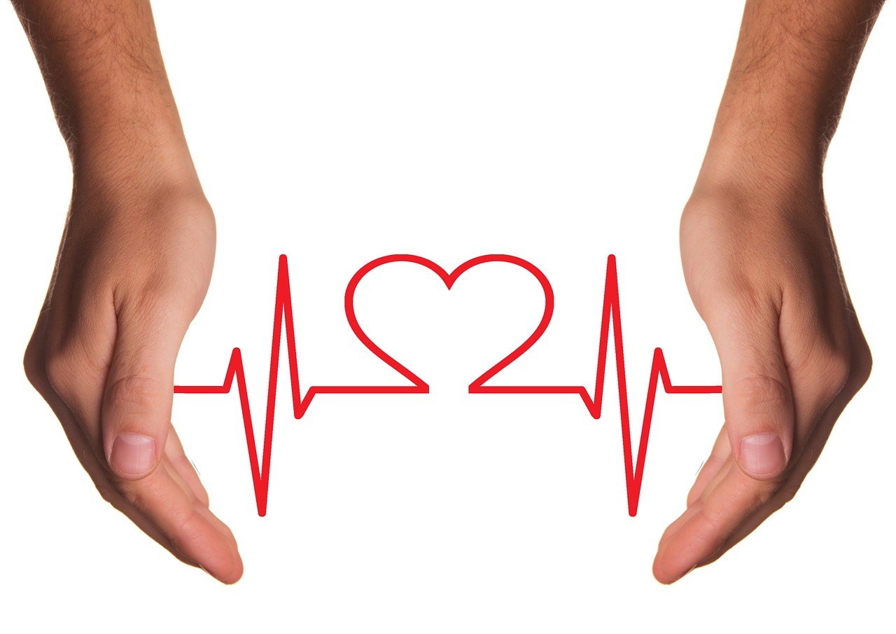 Lee más sobre el artículo Patología Cardiocirculatoria