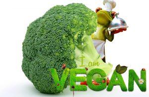 Lee más sobre el artículo Dietas Veganas y suplementación